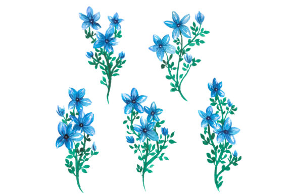 Discover the Beauty of Star Lily Watercolor: A Versatile Artistic Resource
