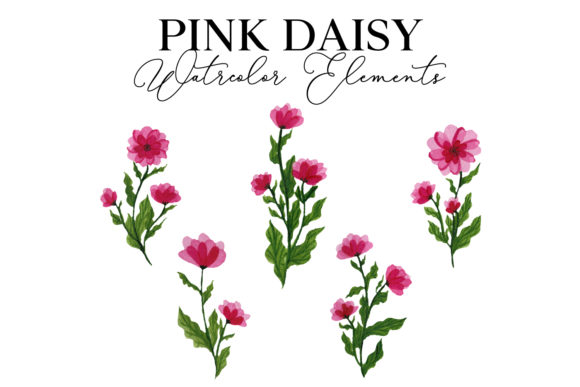 Pink Daisy Watercolor Regular: A Versatile Design Element for Modern Creativity