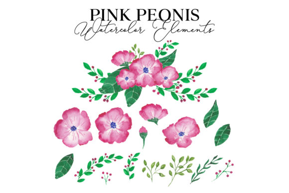 Unlocking Creative Potential with the Pink Peonis Watercolor Package